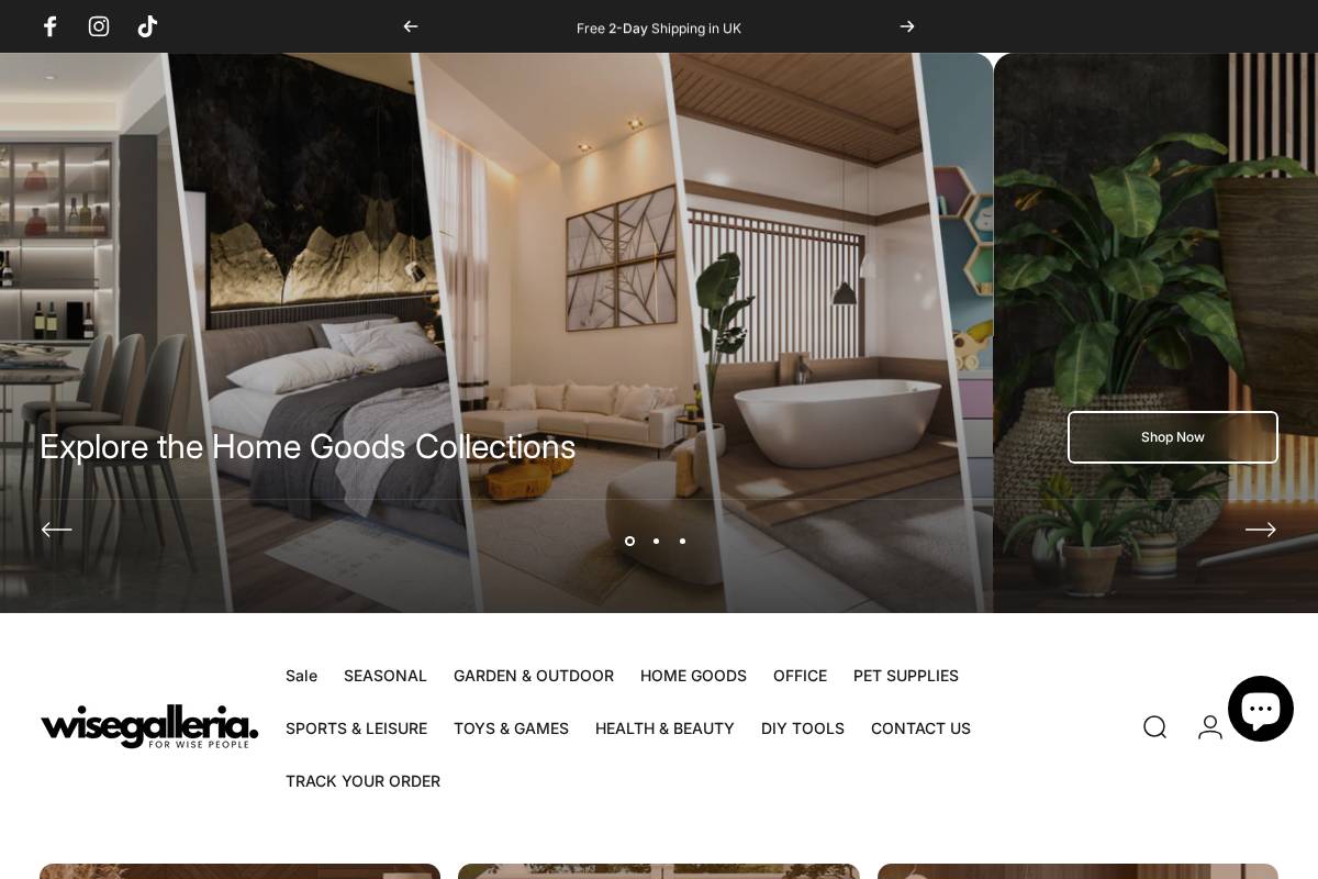 Wise Galleria Limited homepage screenshot