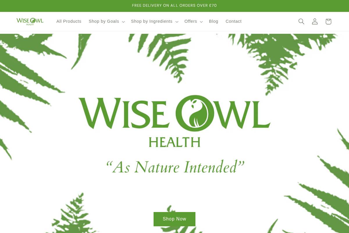 wiseowlhealth.com homepage screenshot