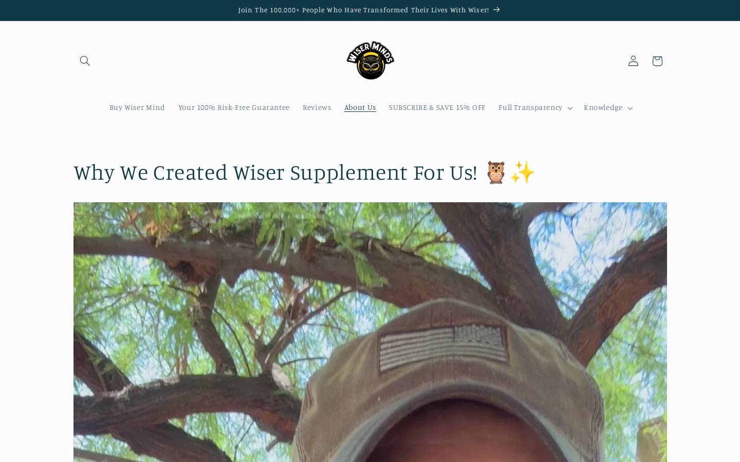 wisermindscompany.com homepage screenshot