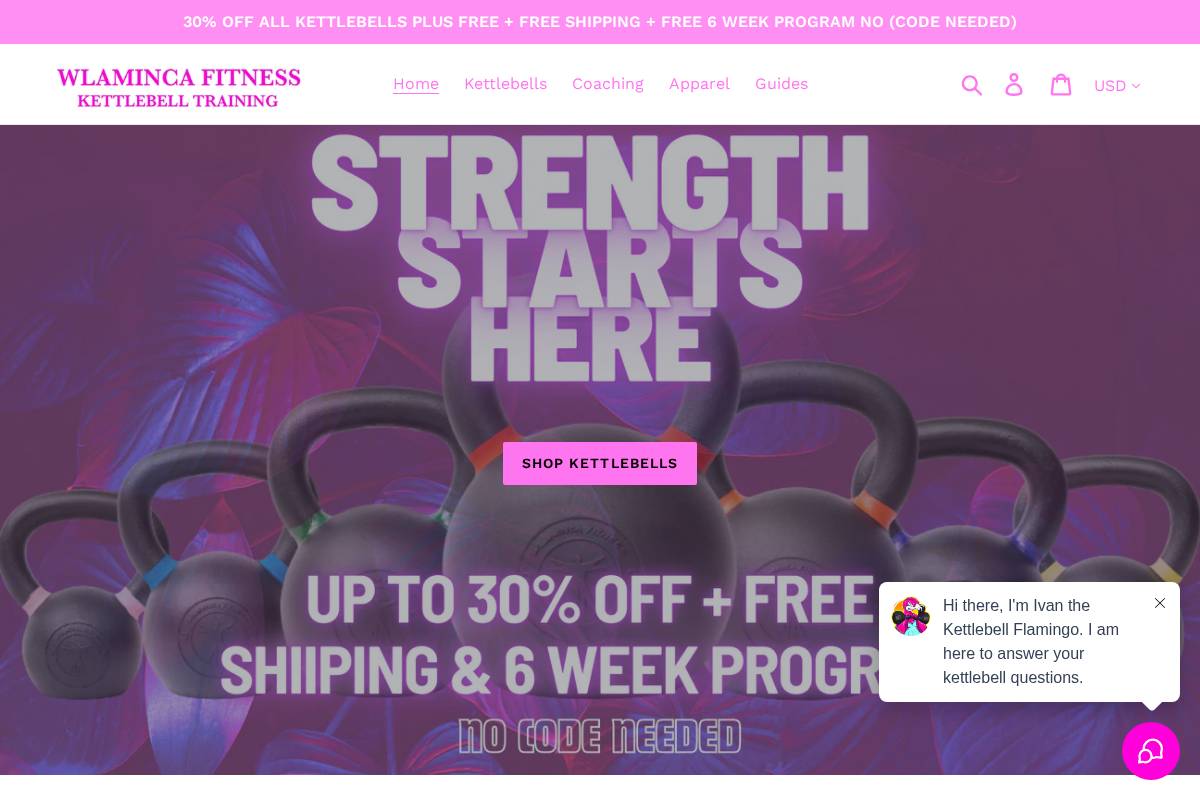 wlamincafitness.com homepage screenshot