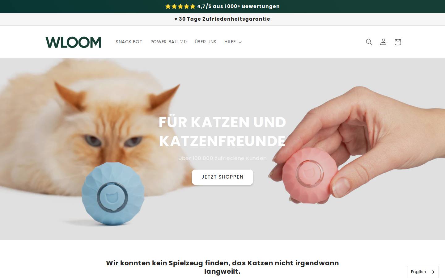 WLOOM homepage screenshot