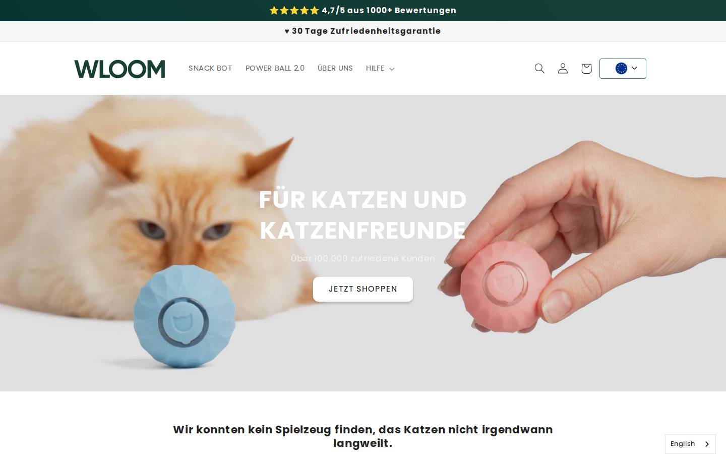 WLOOM homepage screenshot