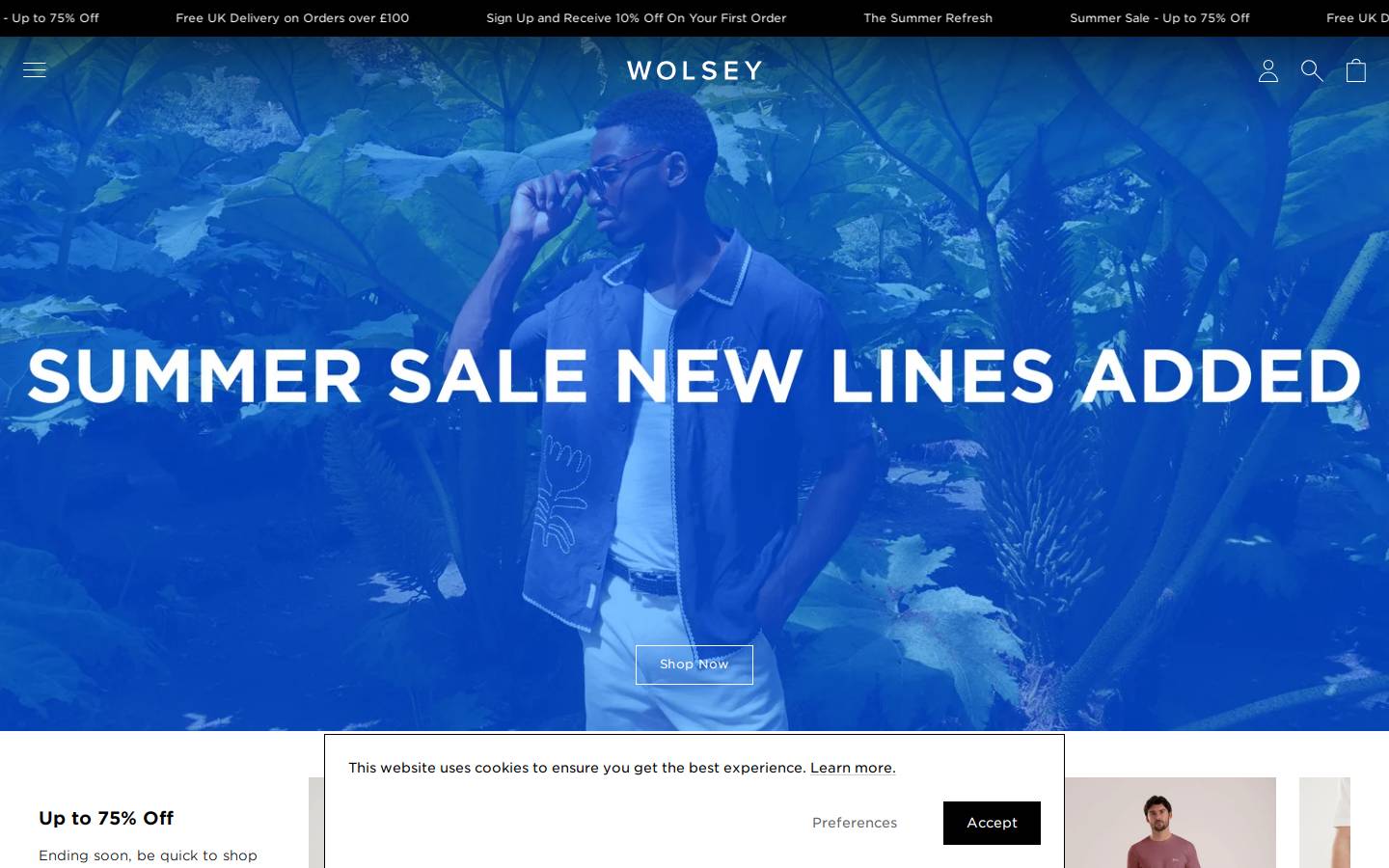 Wolsey homepage screenshot