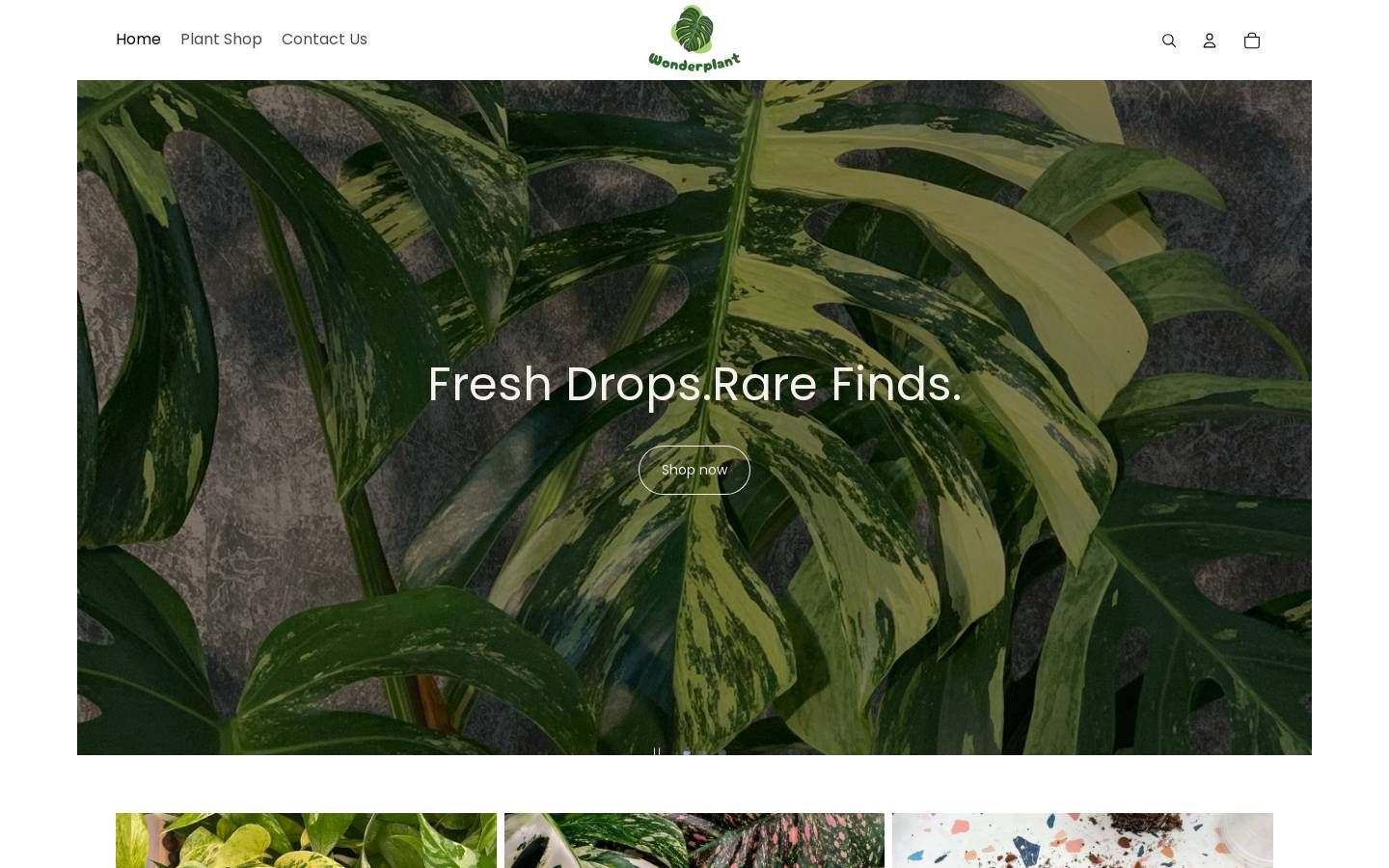 wonderplantstore.com homepage screenshot