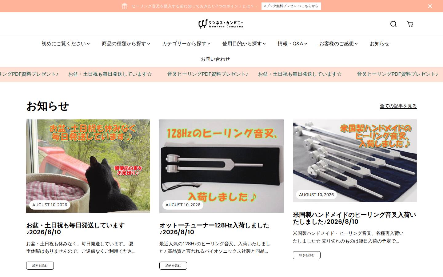 wonnesscompany.com homepage screenshot
