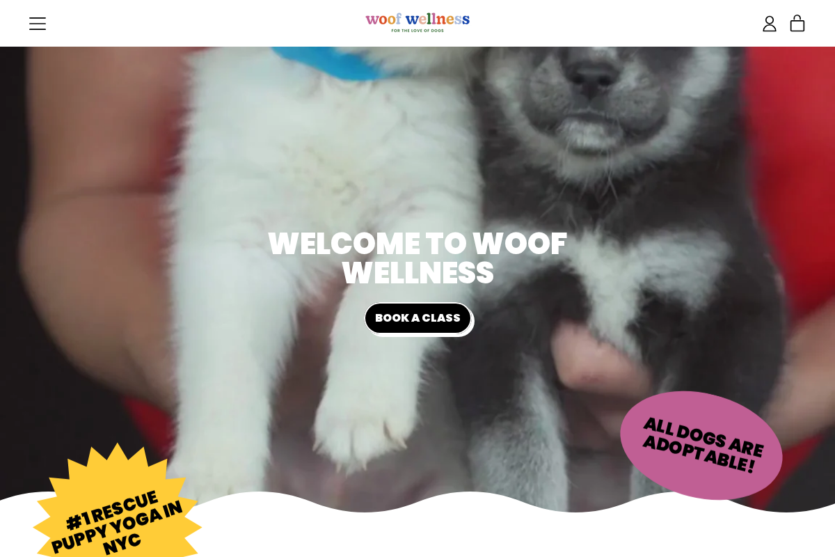woofwellnessnyc.com homepage screenshot