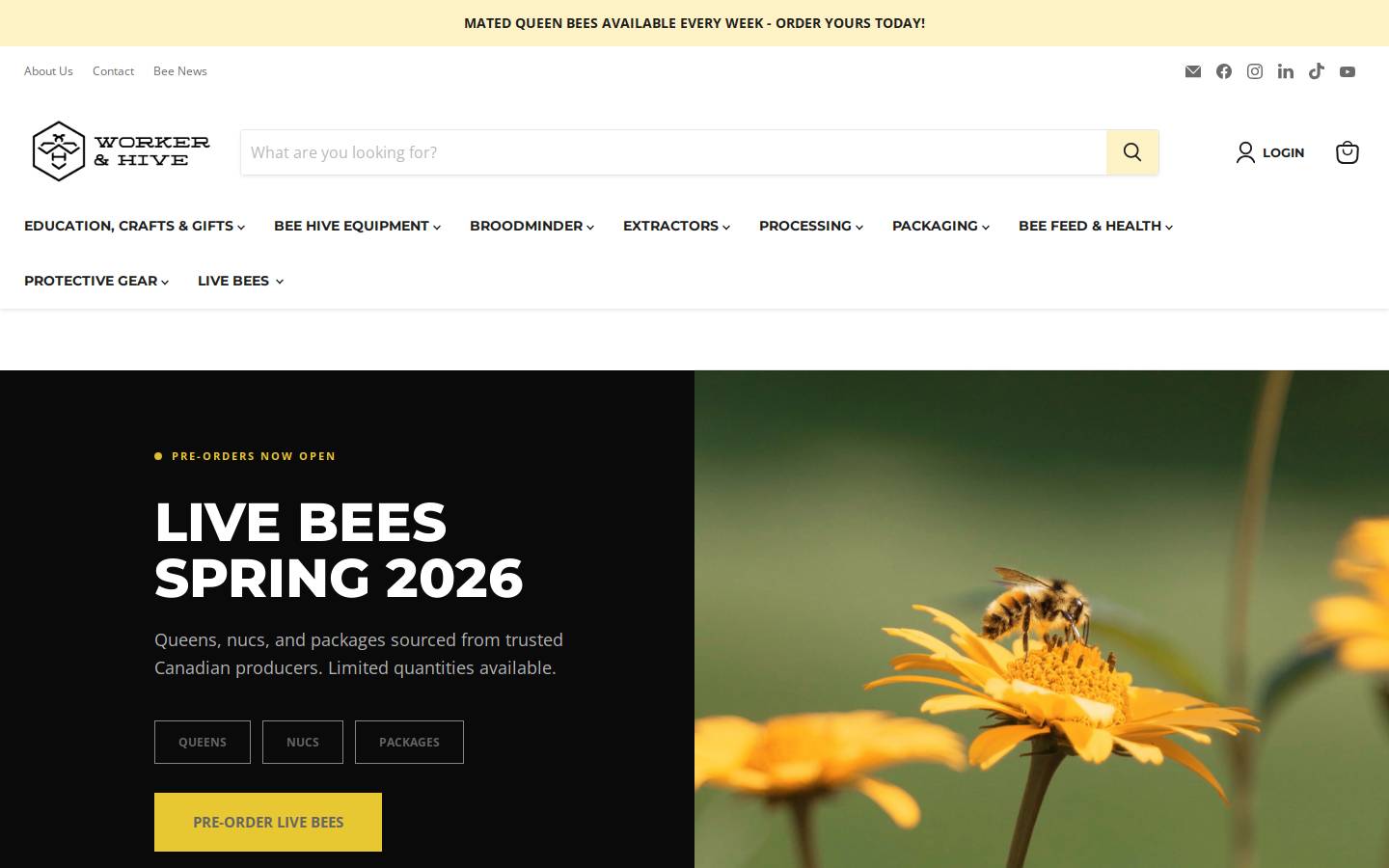 workerandhive.com homepage screenshot
