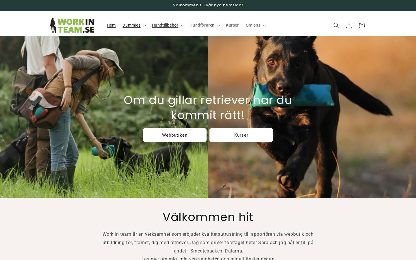 Work in team homepage screenshot