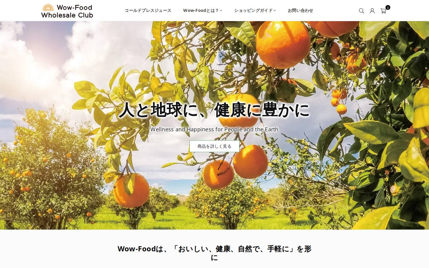 wow-food-wholesale.com homepage screenshot