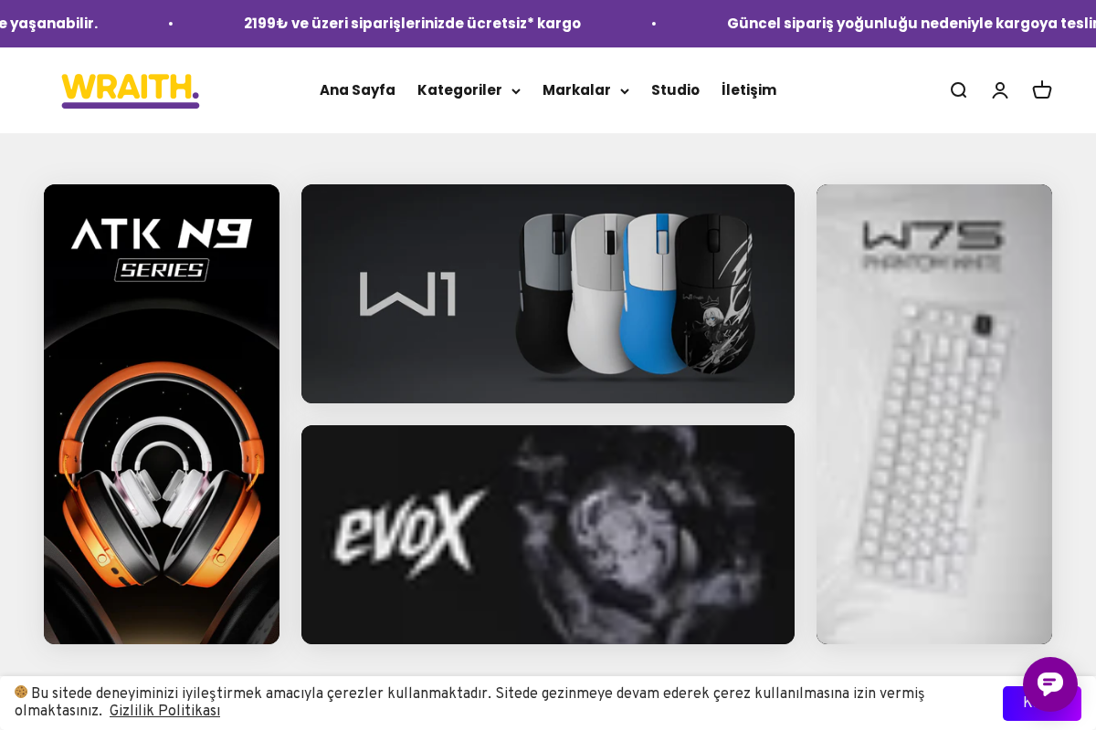 Wraith Esports homepage screenshot