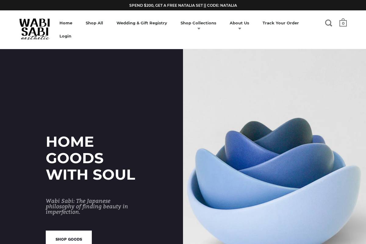 wsaesthetic.com homepage screenshot