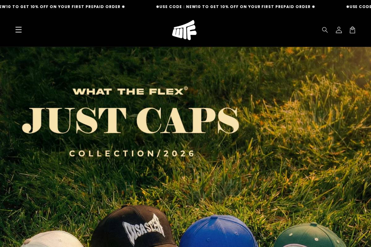 wtflex.in homepage screenshot