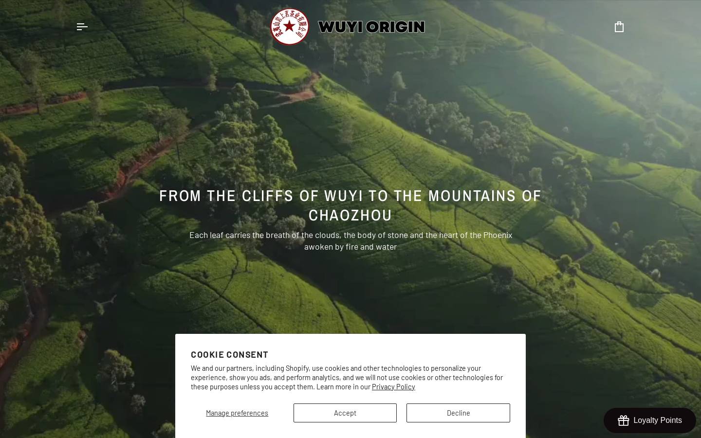 Wuyiorigin homepage screenshot