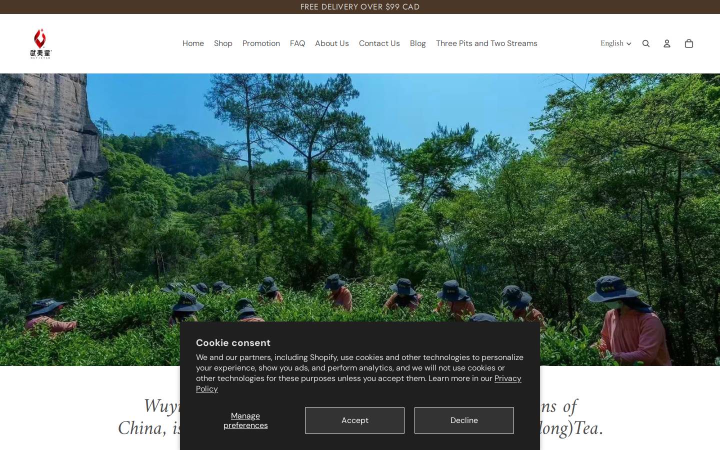 wuyistartea.com homepage screenshot