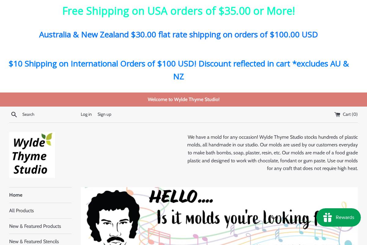 wyldethymestudio.com homepage screenshot