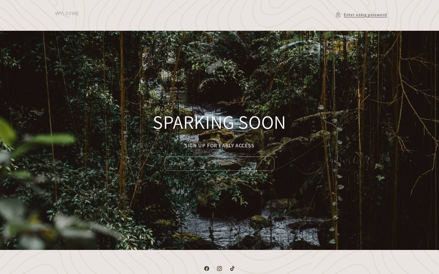 Wyld Fire homepage screenshot