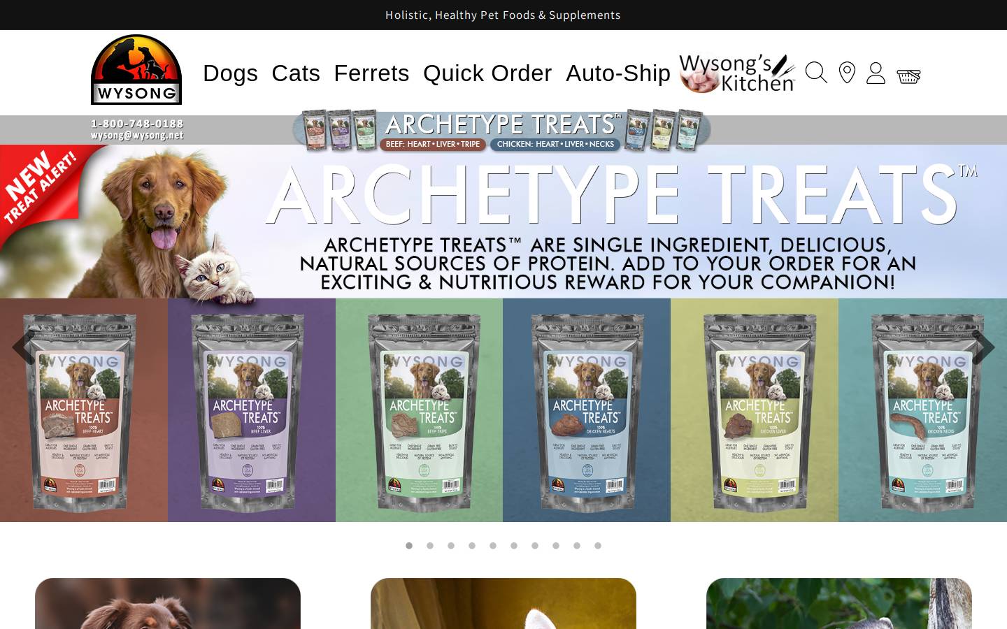 Wysong homepage screenshot