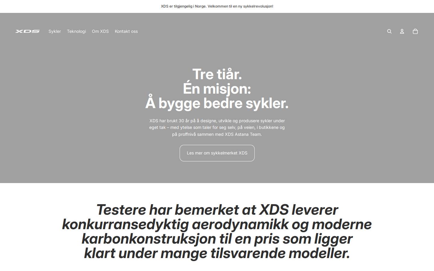 xds.no homepage screenshot