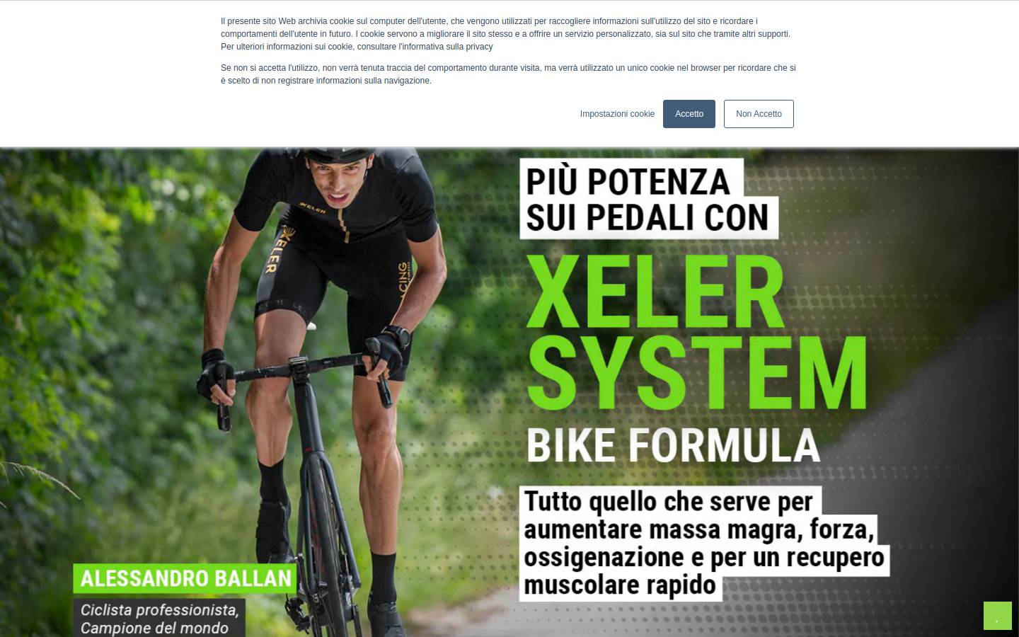 xelersystem.com homepage screenshot