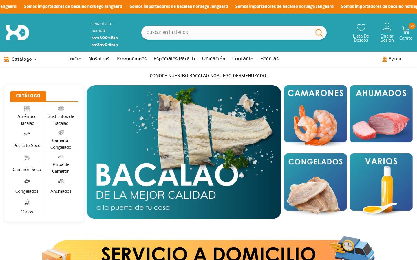 xelhacity.com homepage screenshot