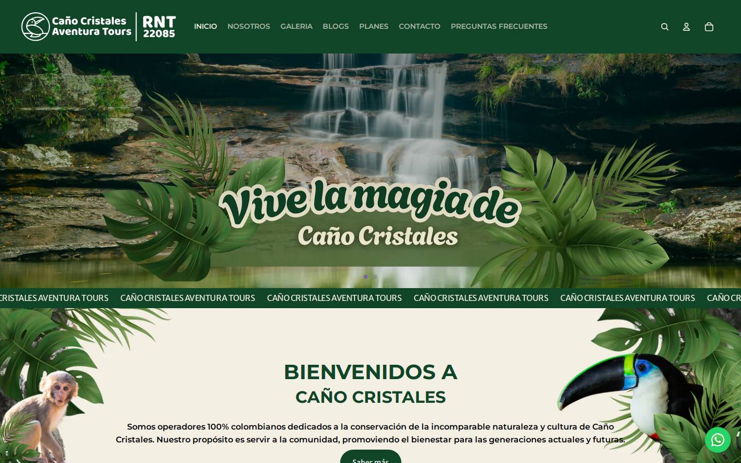 xn--caocristalestours-gxb.com homepage screenshot