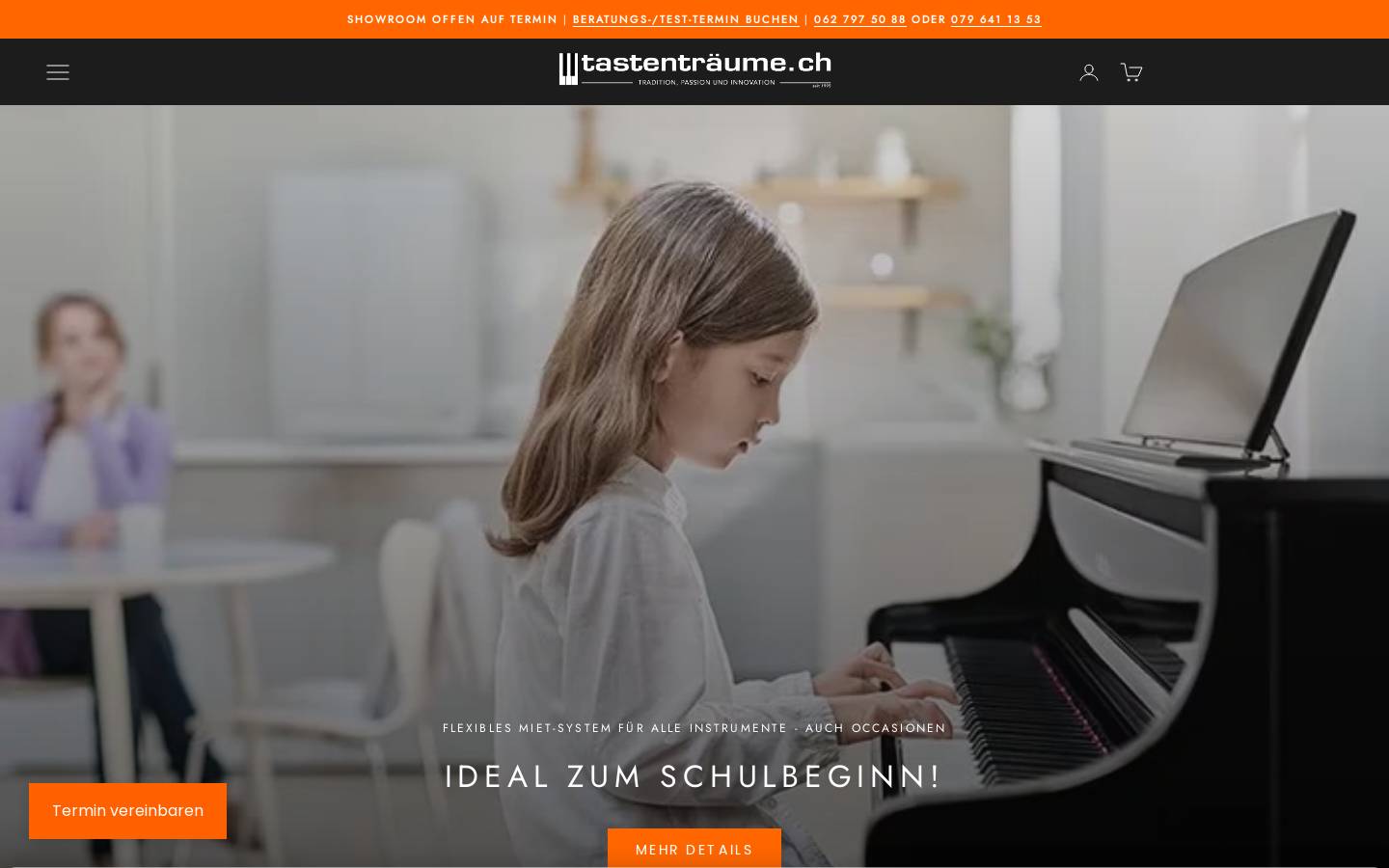xn--tastentrume-s8a.ch homepage screenshot
