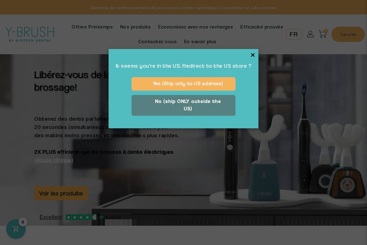 Y-Brush homepage screenshot