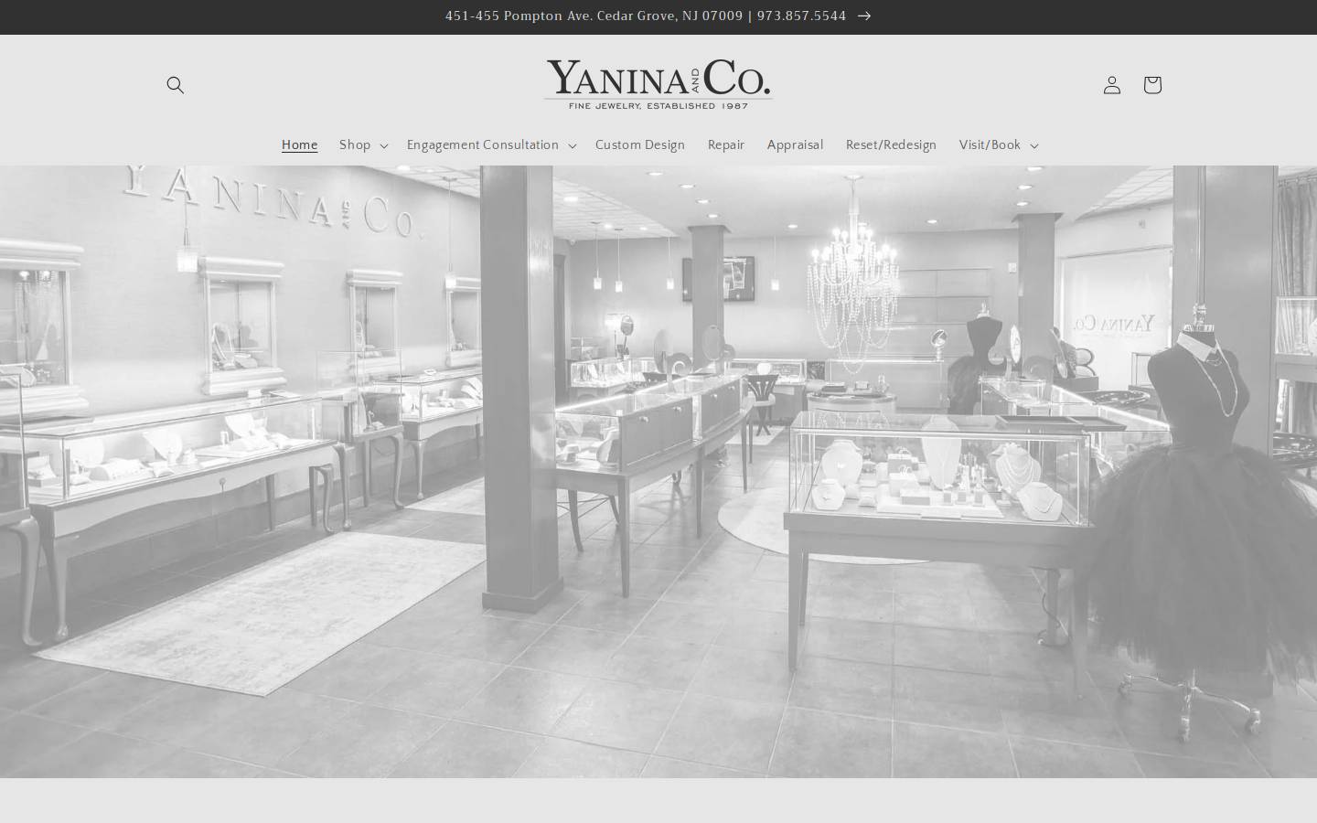 yanina-co.com homepage screenshot