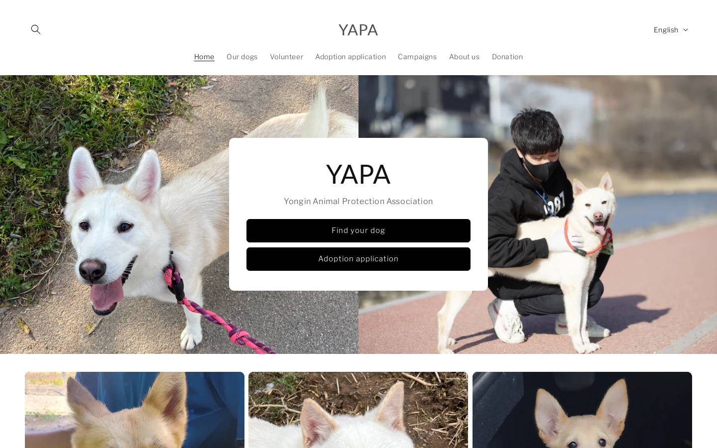 yapa-paws.org homepage screenshot