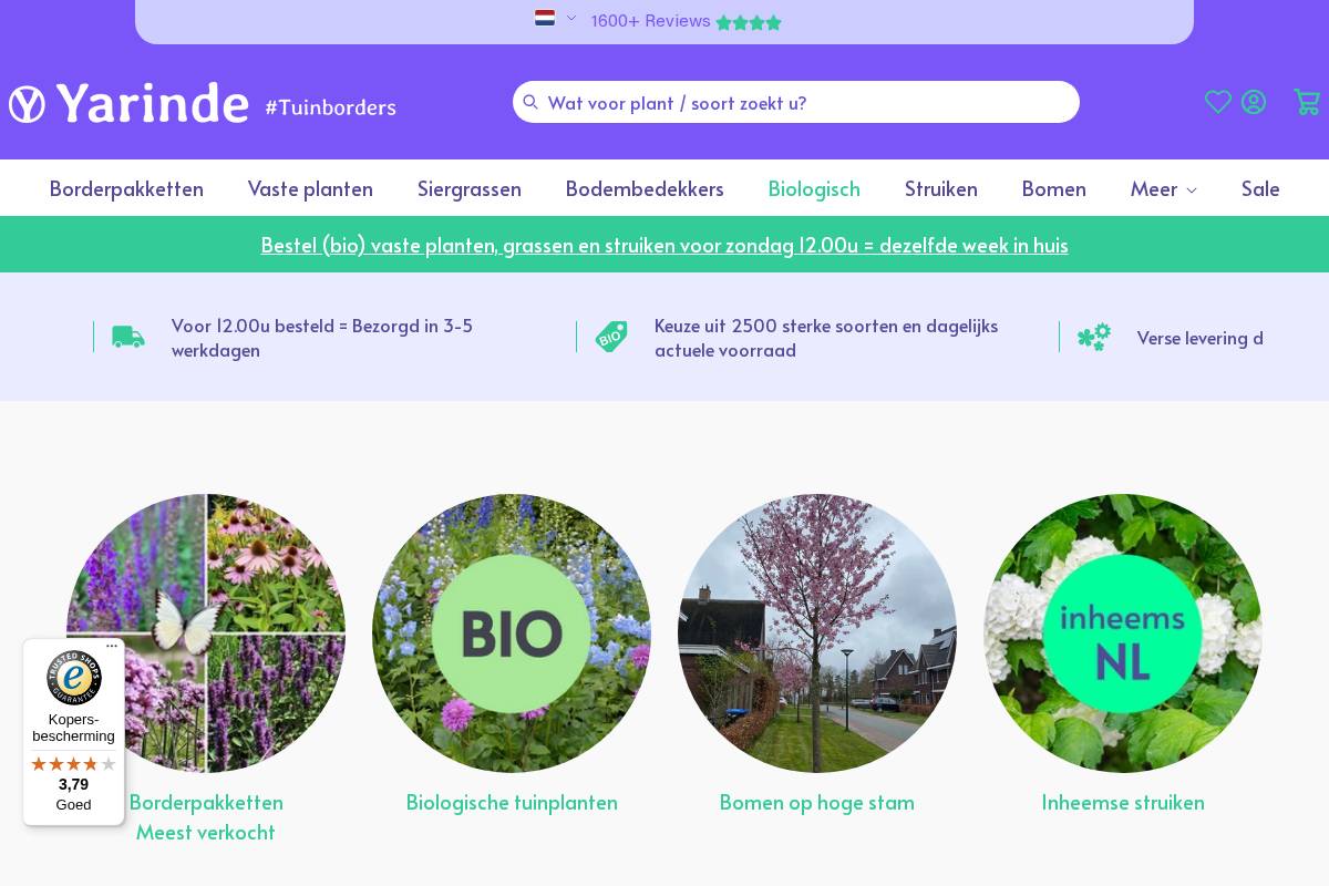 Yarinde homepage screenshot