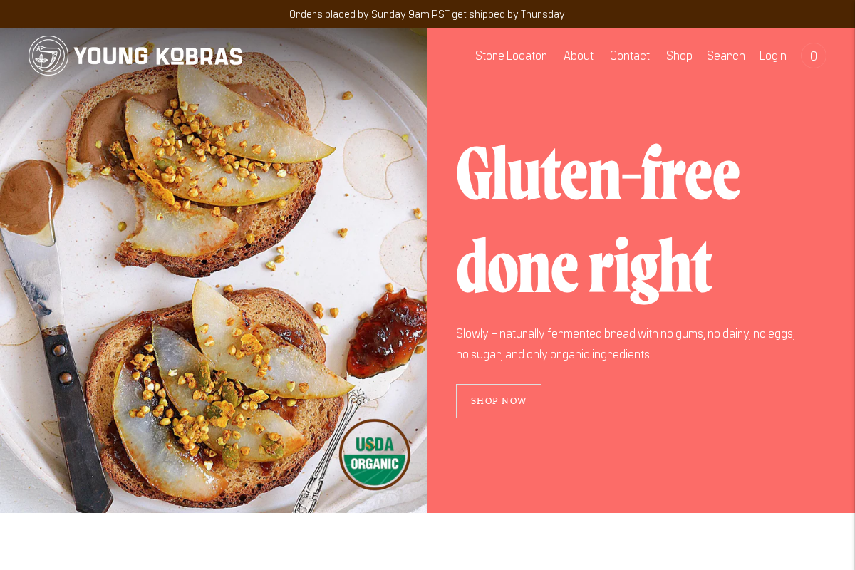 Young Kobras homepage screenshot