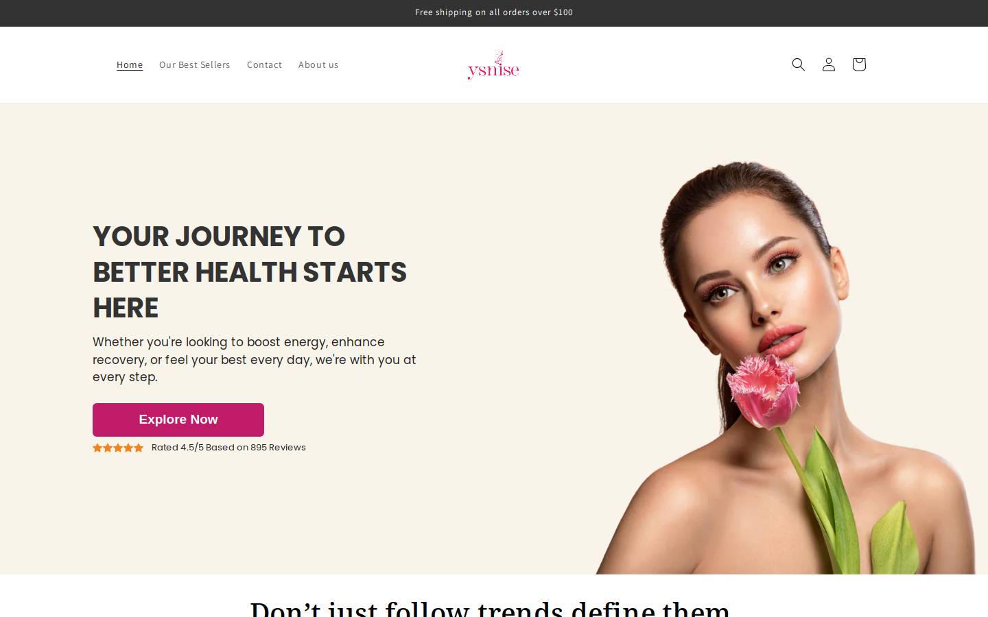 ysnise.com homepage screenshot