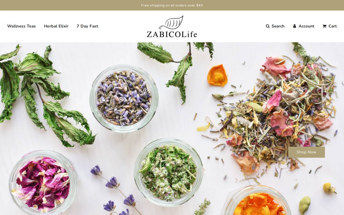 zabicolife.com homepage screenshot