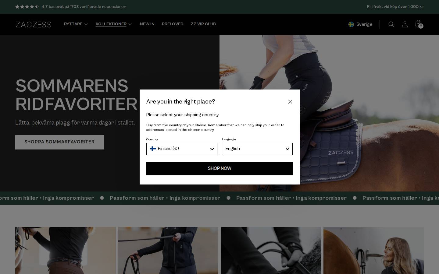 ZacZess homepage screenshot