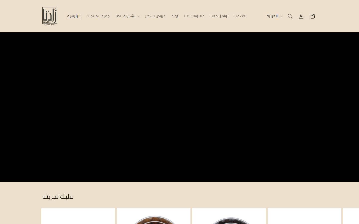 zadnaeg.com homepage screenshot