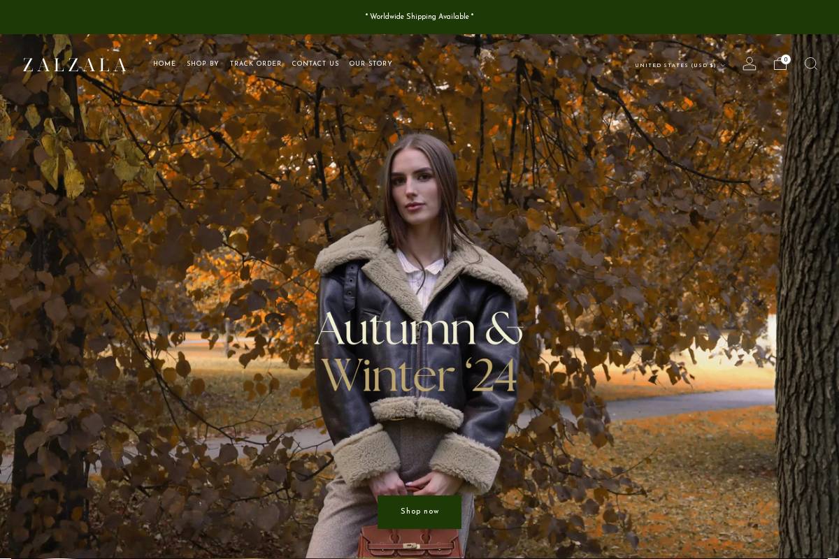 zalzala.co homepage screenshot