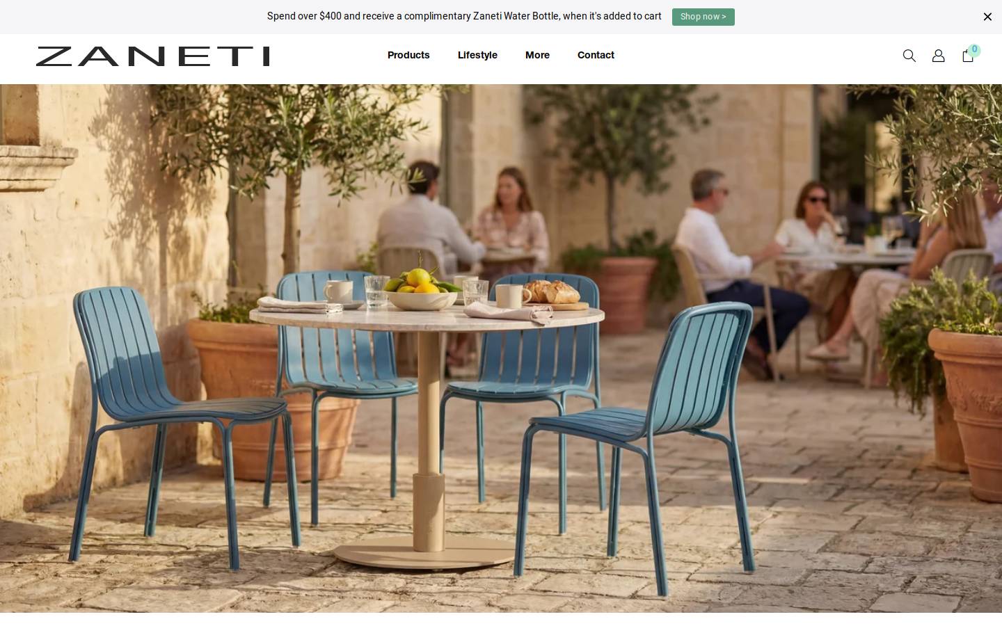 zaneti.net.au homepage screenshot