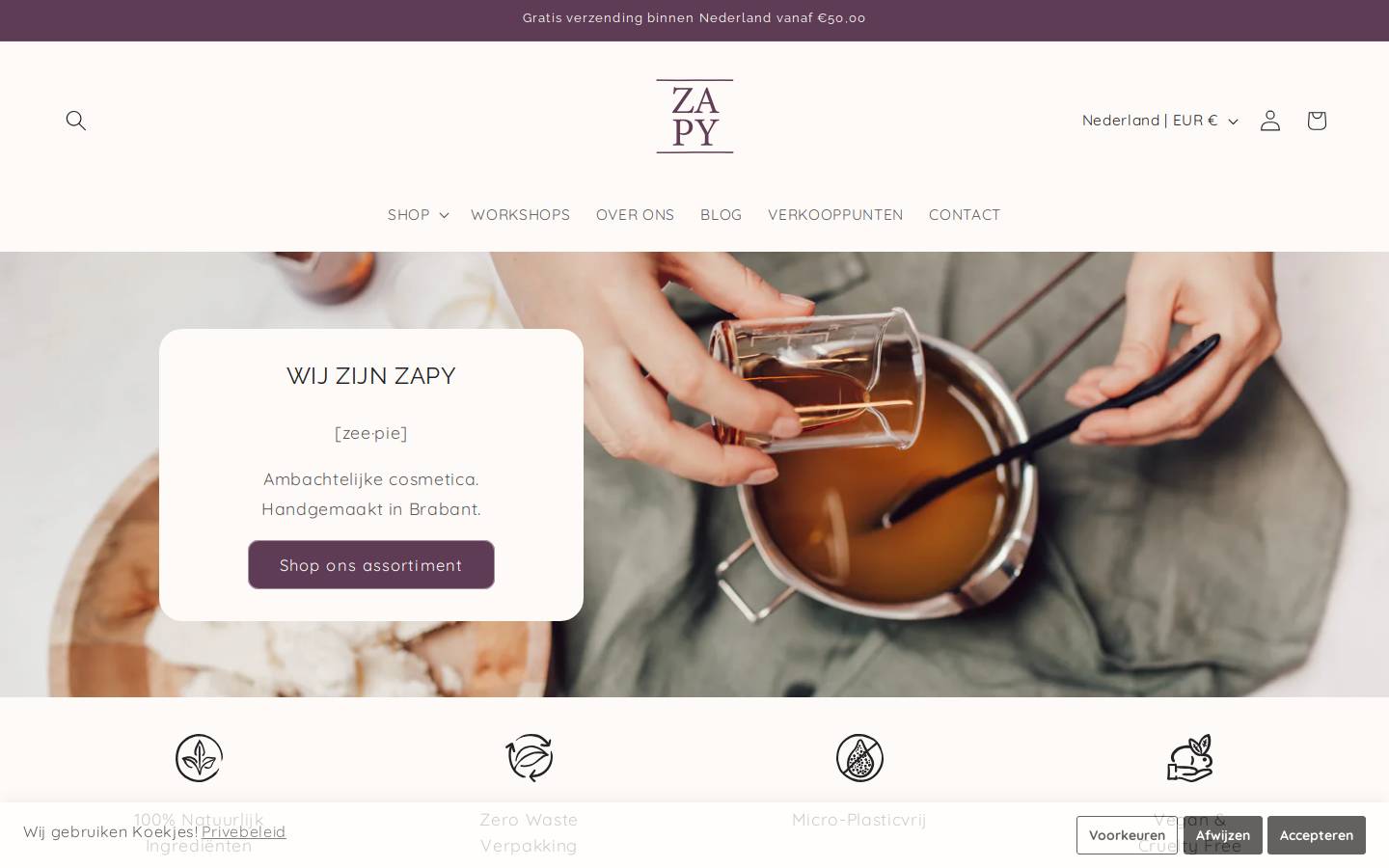 zapy.nl homepage screenshot