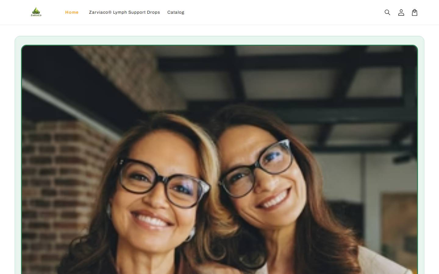 zarviaco.com homepage screenshot