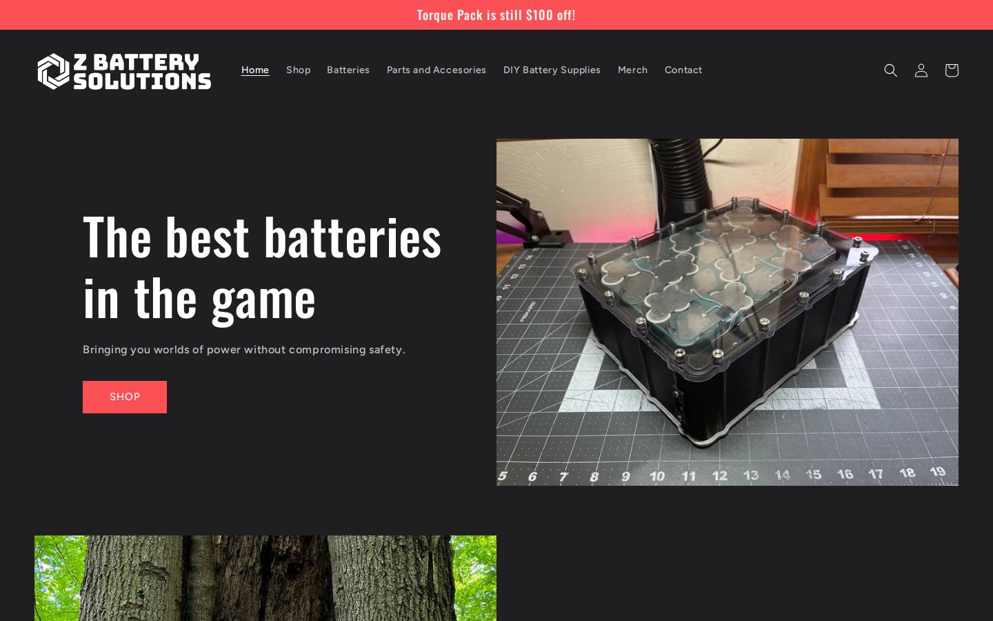 ZBattery.com homepage screenshot
