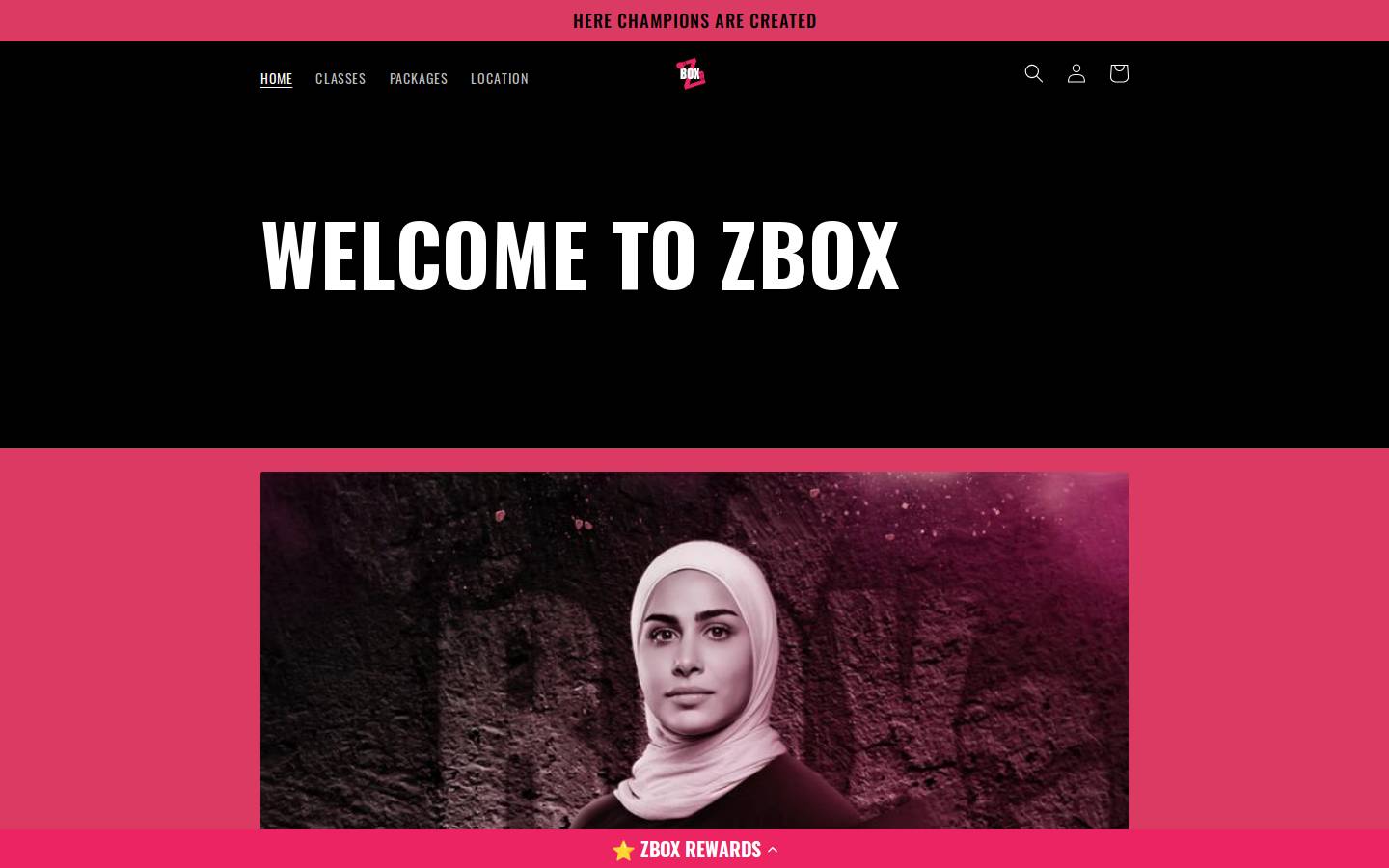 zboxacademy.com homepage screenshot