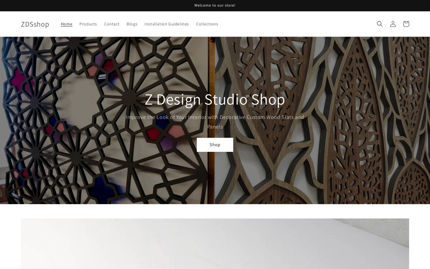 zdsstore.com homepage screenshot