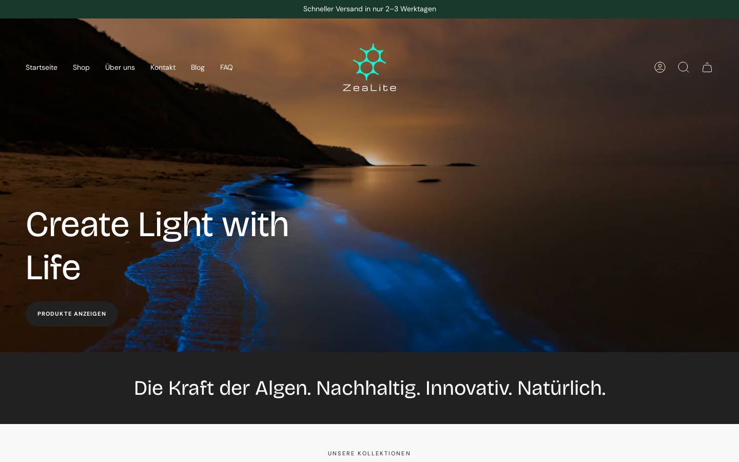 zealite.com homepage screenshot