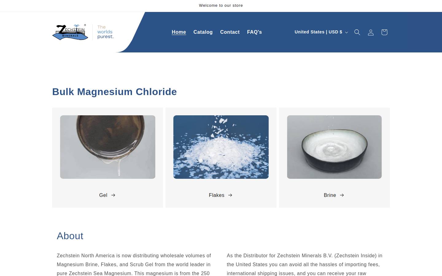 zechsteinamerica.com homepage screenshot