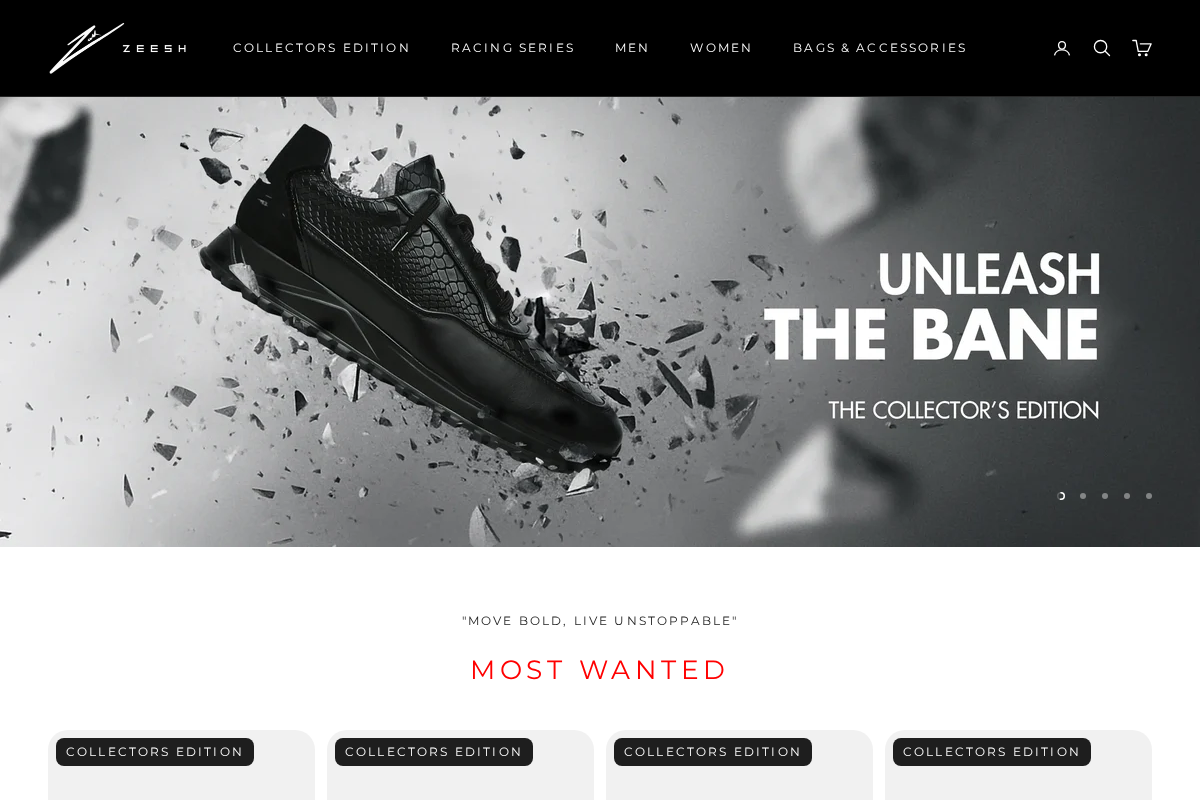 ZEESH homepage screenshot