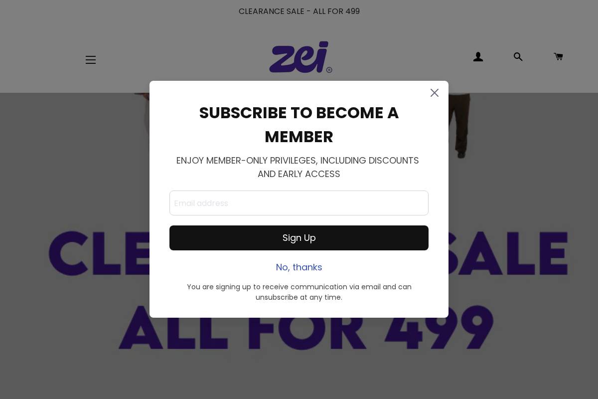 zeistores.com homepage screenshot