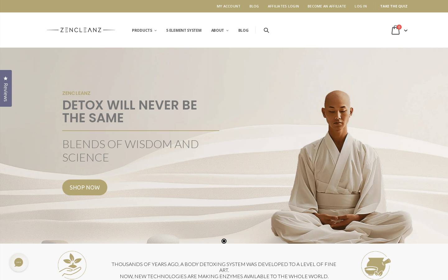 zencleanz.com homepage screenshot