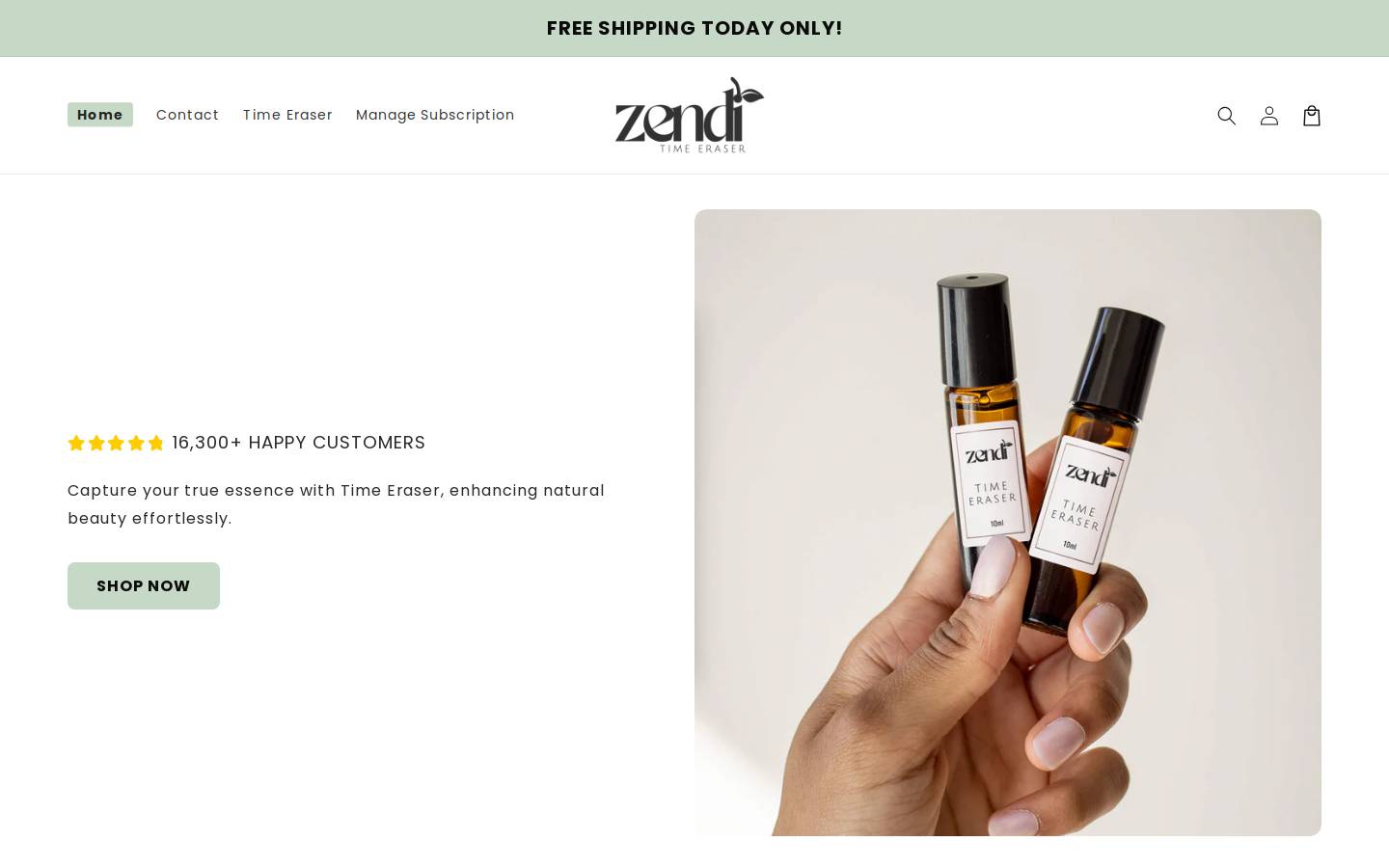 Zendi homepage screenshot