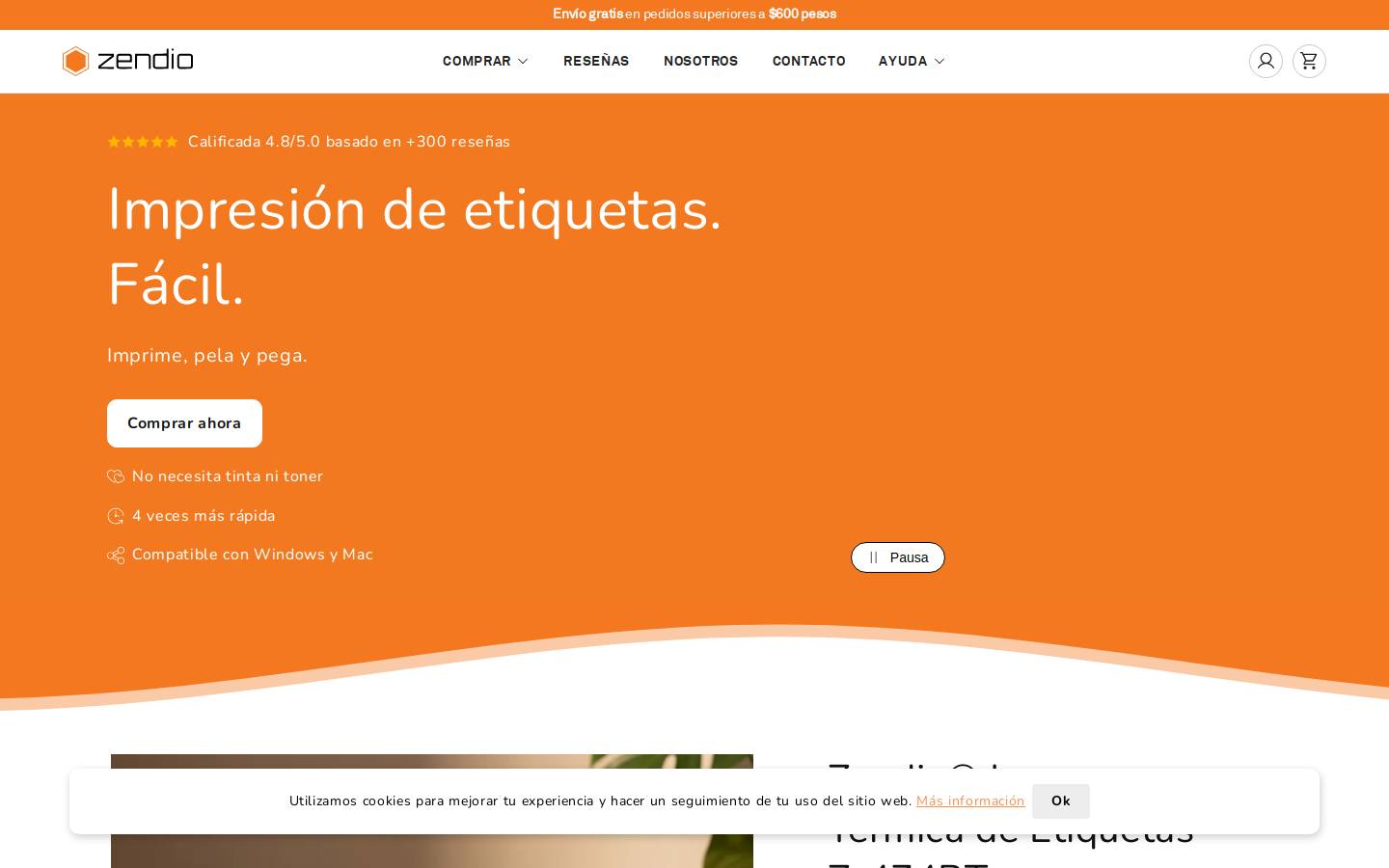 zendio.mx homepage screenshot