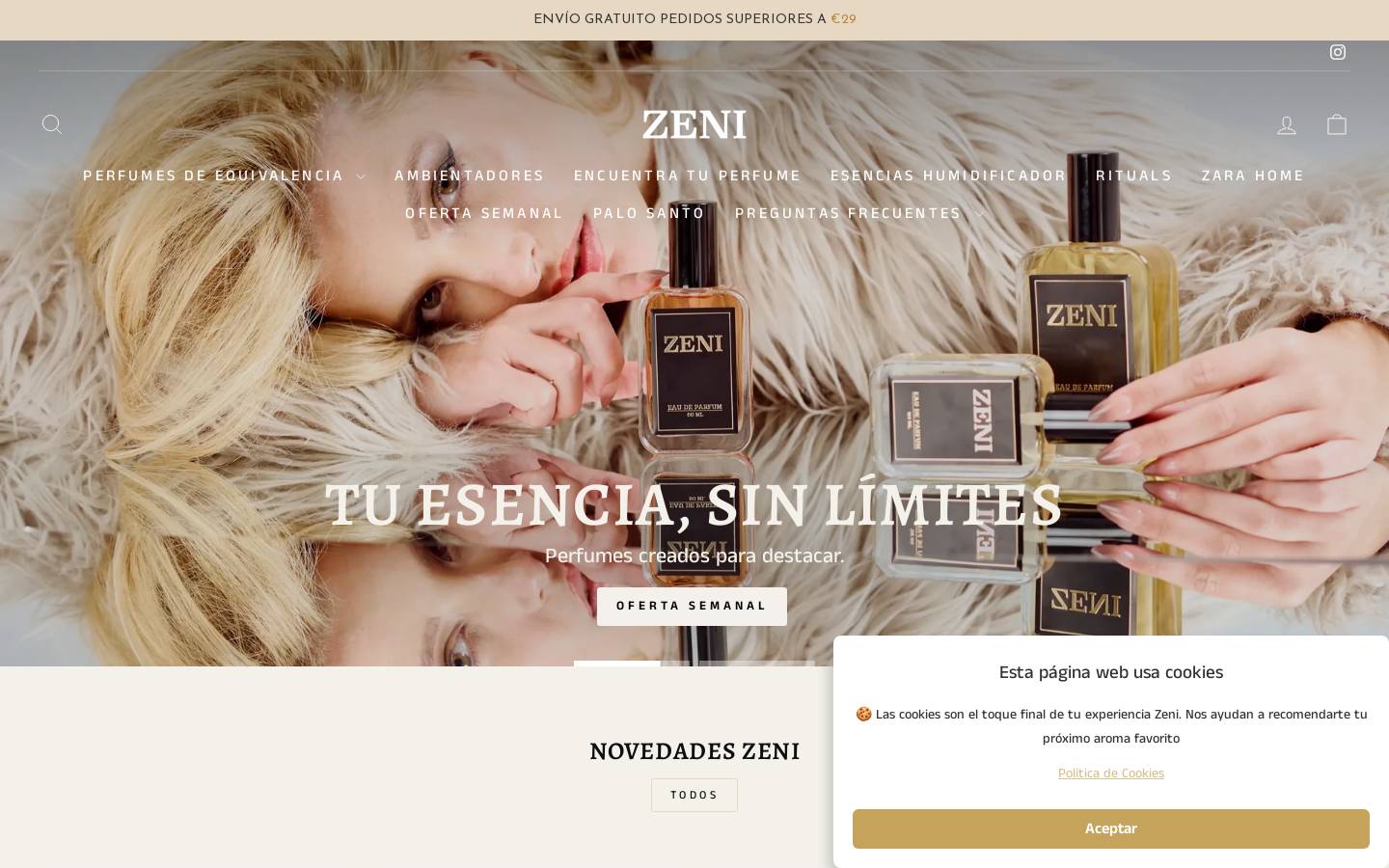 Zeni Ambient homepage screenshot